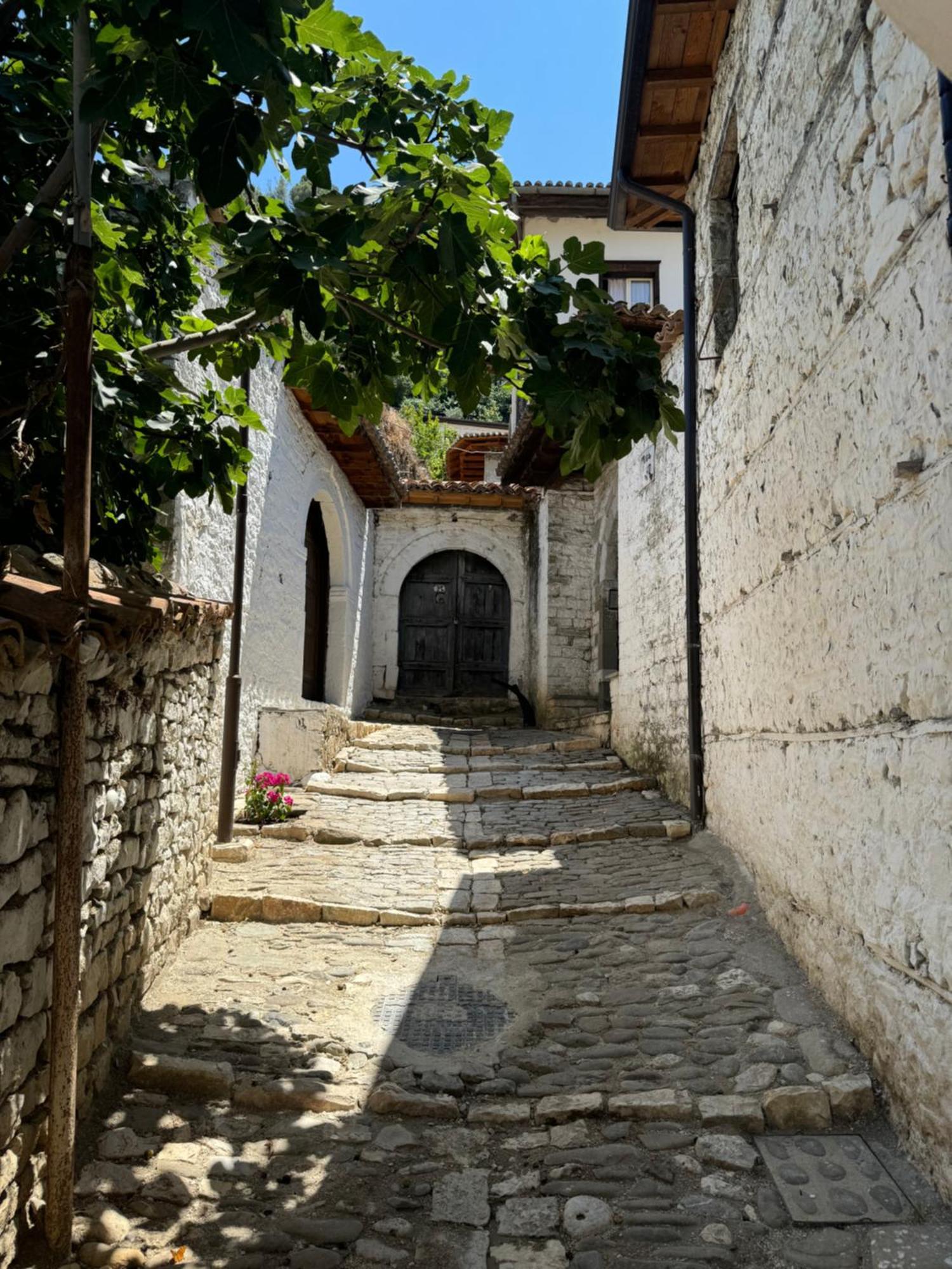 Meroli Guesthouse - Unesco Quarter ベラト エクステリア 写真